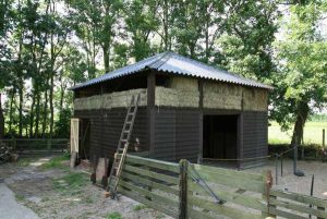 hooiberg met paardenstal in drenthe